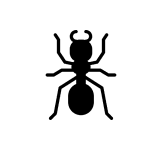 ant