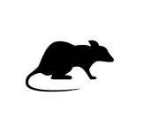 rodents